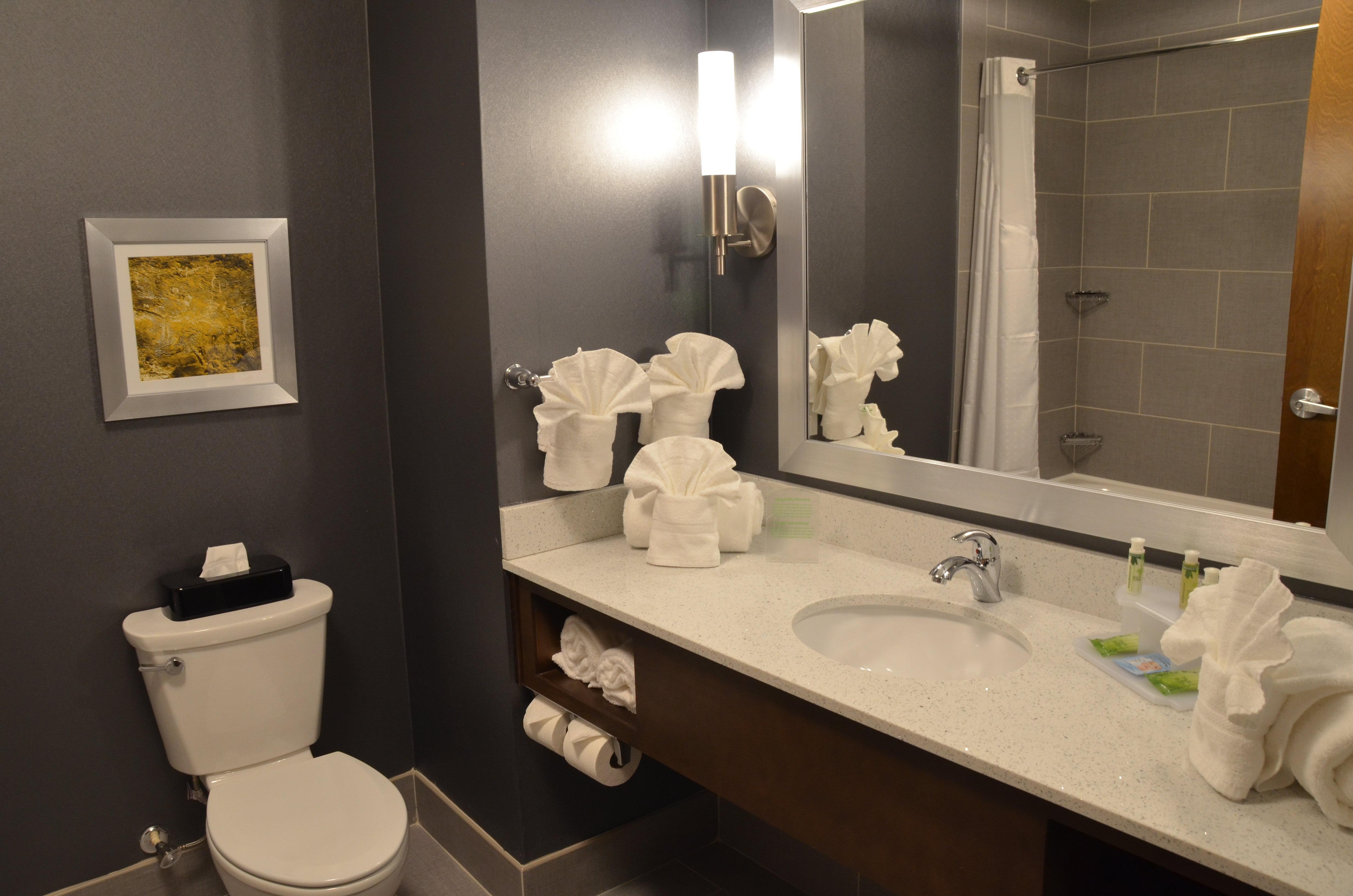 Holiday Inn Express & Suites Albany Exteriör bild
