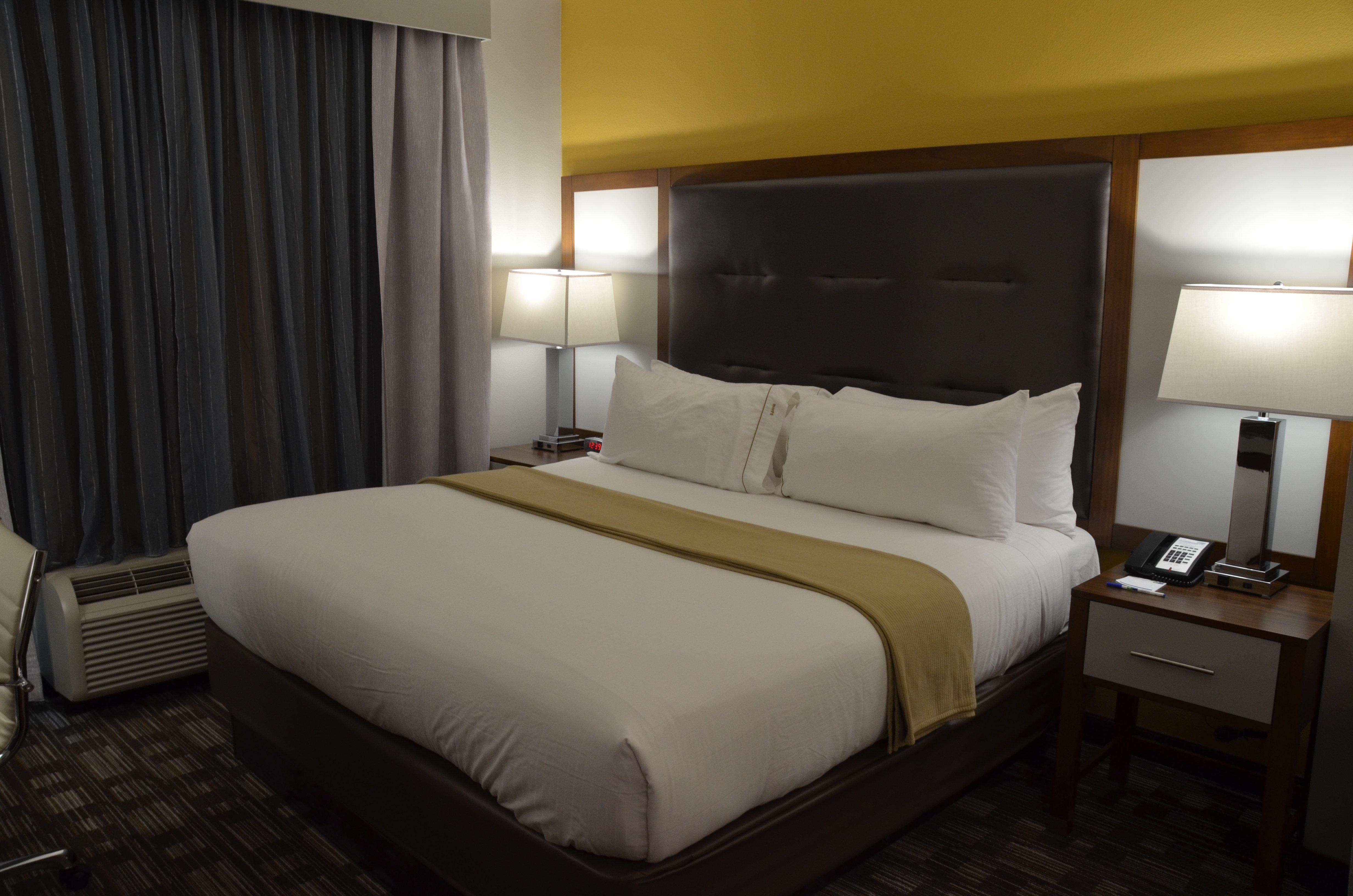 Holiday Inn Express & Suites Albany Exteriör bild