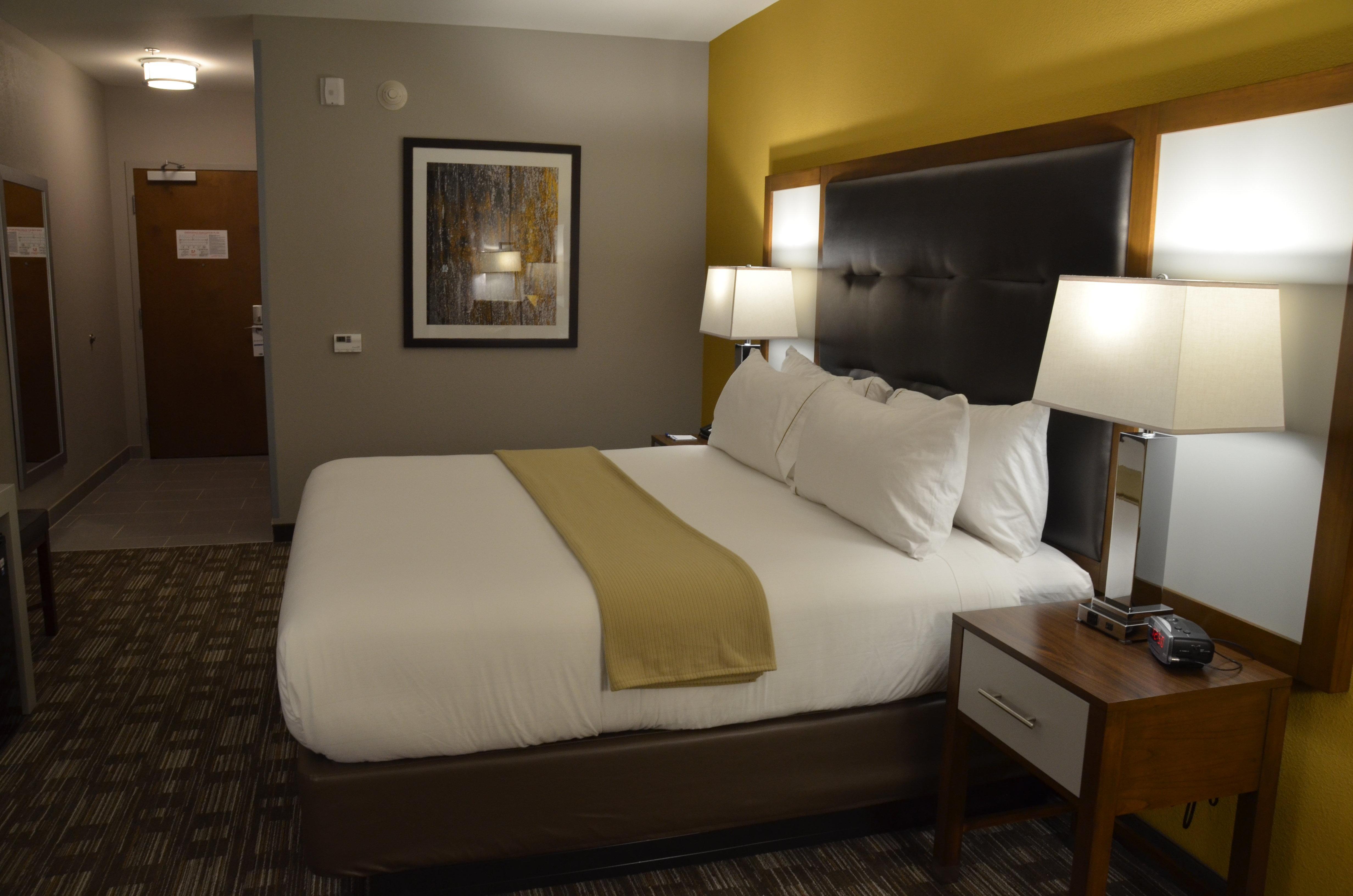 Holiday Inn Express & Suites Albany Exteriör bild